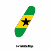 Flag Bandera GIF by Formación Ninja