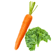 Pet Food Sticker by Stella and Chewy's