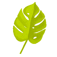 lunadesignco green leaf palm monstera Sticker