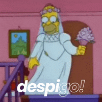 despigo fiesta despedida soltera soltero GIF