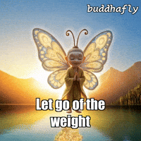 Water Joy GIF by BuddhaFlyJourney