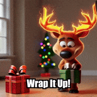 Wrap It Up Winter GIF by elkijahspark