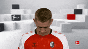 Line Up Smile GIF by Bundesliga