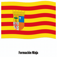 Flag Spain GIF by Formación Ninja
