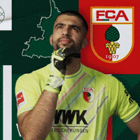Football Bundesliga GIF by FC Augsburg 1907