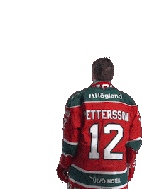 Sticker by MoDo Hockey