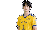 Kb스타즈 Sticker by KB STARS VOLLEYBALL CLUB