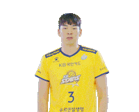 Kb스타즈 Sticker by KB STARS VOLLEYBALL CLUB