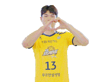 Kb스타즈 Sticker by KB STARS VOLLEYBALL CLUB