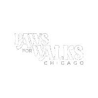 PawsForWalks dog white dog walker pet sitting Sticker