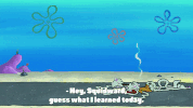 season 10 episode 6 GIF by SpongeBob SquarePants