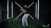 Tulane Rollwave GIF by GreenWave