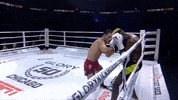 fight punch GIF by GLORY Kickboxing
