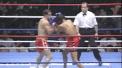K-1 Knockout GIF by GLORY Kickboxing