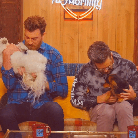 good mythical morning dogs GIF by Rhett and Link