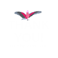 Thank You Sticker by Orenda Joy Green