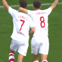 1 Fc Cologne Football GIF by 1. FC Köln