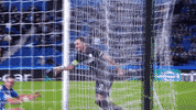 Celebrate Europa League GIF by SK Sturm Graz