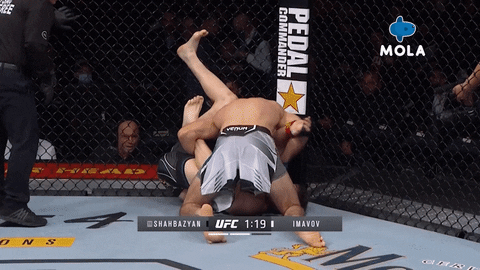 Fight Yes GIF by MolaTV