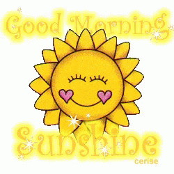Good Morning Sunshine GIF by memecandy
