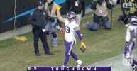 Minnesota Vikings Football GIF by NFL