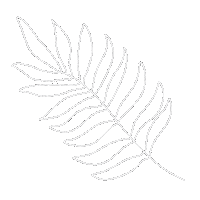 Plant Sticker
