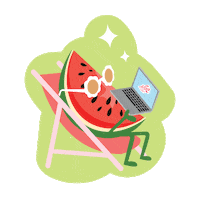 Shine Watermelon Sticker by Nixie Sparkling Water