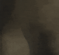 Star Wars Animation GIF by Ryan Seslow