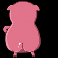 zhvachkaturbo yeah pig хрюн жепа GIF