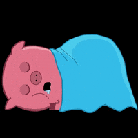 zhvachkaturbo sleep спать хрюн GIF