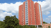 College Graduation GIF by Towson University