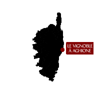 vin de corse Sticker by Vins Casanova