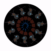 studioaka animation birds photoshop after effects GIF