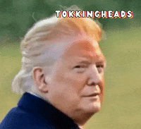 No GIF by Tokkingheads