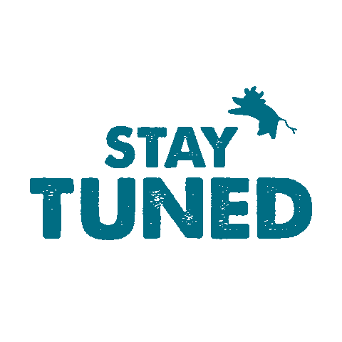 Stay Tuned Sticker by Publifarm