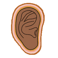 Ear Audiology Sticker
