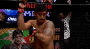 ONEChampionship mma one pose myanmar GIF