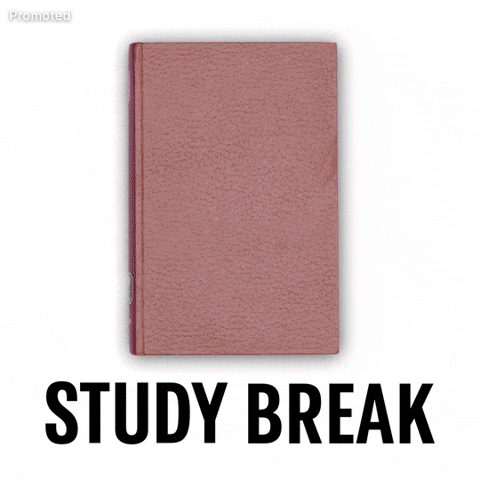Study Break GIF by Starbucks