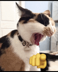 Cat Laughing GIF