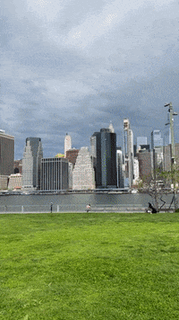 GIF by namslam