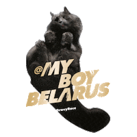 Licking Cat Food Sticker by Sheba Official