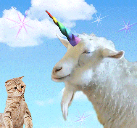 candy unicorn GIF by Trolli