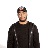 fuck you middle fingers up GIF