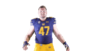 Ncaa Football Go Bears Sticker by Cal Athletics
