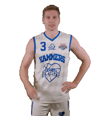 Basketball Center Sticker by Landstede Hammers