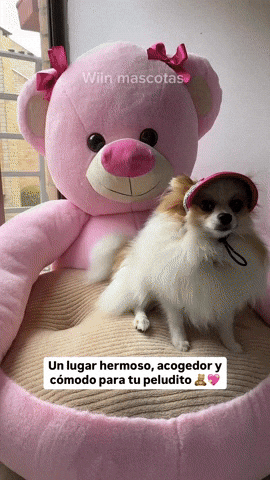 Gangascolombia giphyupload GIF