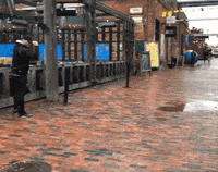 shake it off toronto blue jays GIF by Toronto Wolfpack
