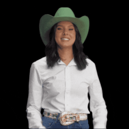 Ana Castela GIF by Sicredi