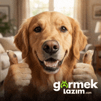 Tamam Yes GIF by Görmek Lazım