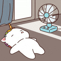 Chubbicorn GIF by Chubbiverse